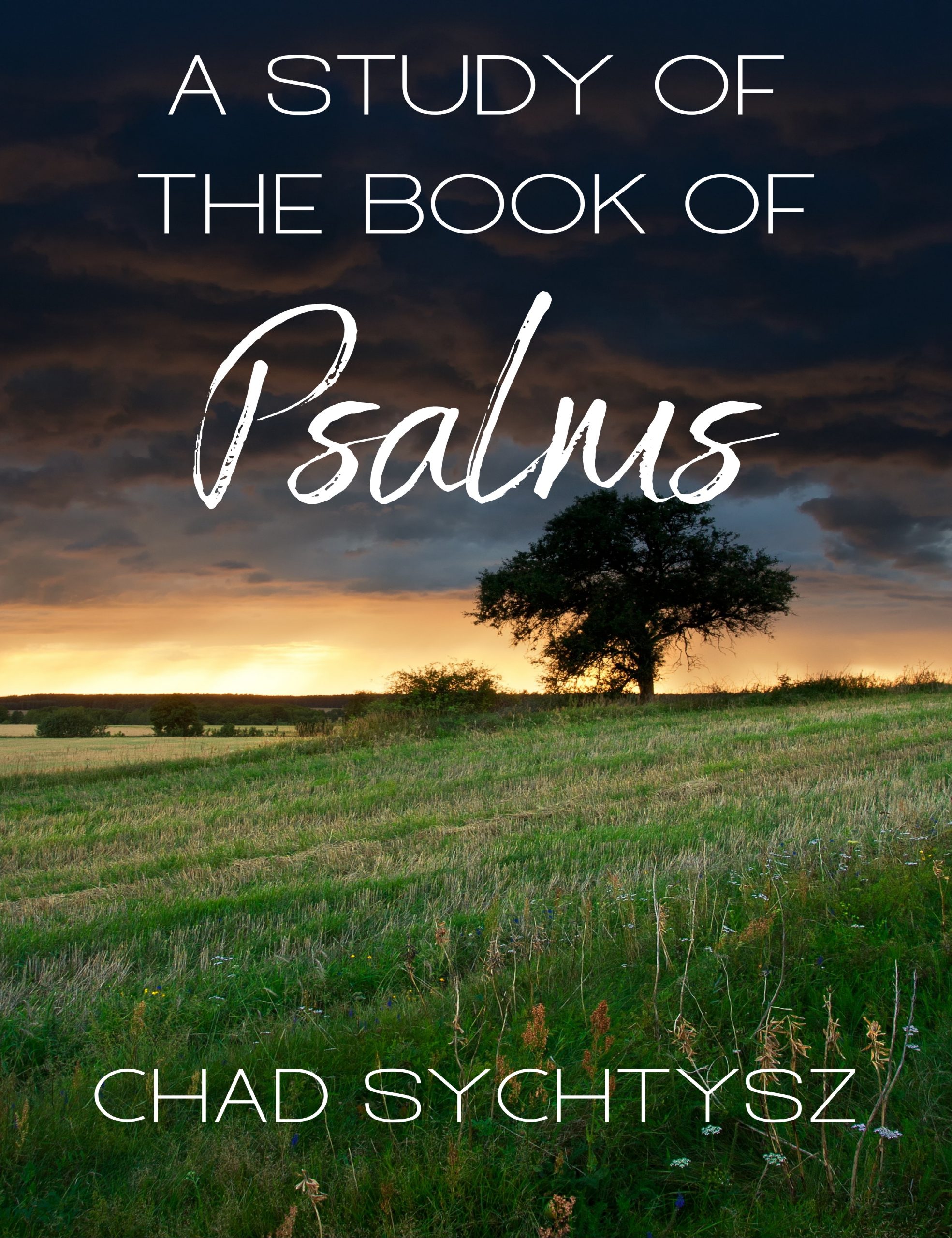 a-study-of-the-book-of-psalms-books-by-chad